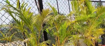 Sky Studio
Classy place view of Mumbai  in Heart of city and tourist place......