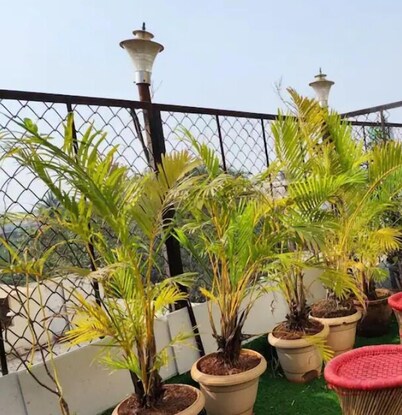 Sky Studio
Classy place view of Mumbai in Heart of city and tourist place......