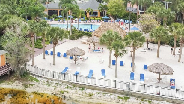 Un resort con área de piscina, sillas de descanso, palmeras y un pequeño edificio.
