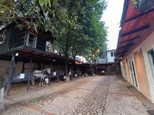 Living area - Entre Robles  (Santa Lucía Milpas Altas)