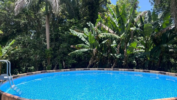 A wooden pool surrounded by lush greenery. - LAKE HOUSE- Adames Lake House (San Sebastián)