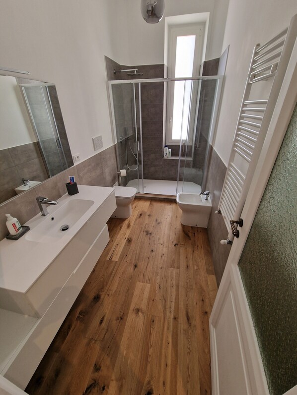 Shower, hair dryer, bidet, towels