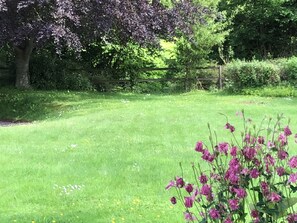 Stroll through a serene garden surrounded by lush greenery and vibrant flowers.