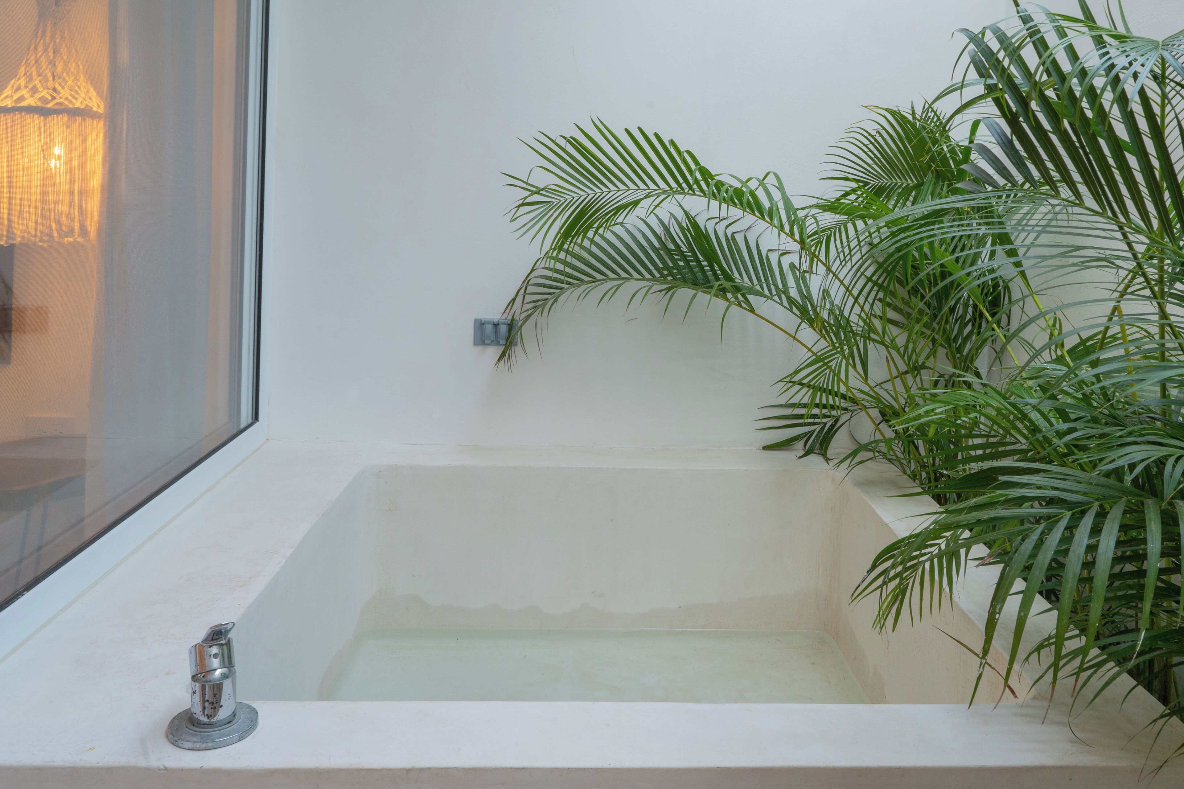 Une baignoire avec un robinet, une fenêtre et une plante à côté.