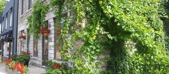 Vieux-Old Farnham Appart Condotel1