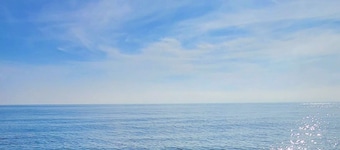 Large two-room apartment with garden and outdoor barbecue 7km from the sea
