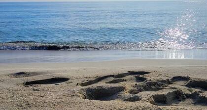 Large two-room apartment with garden and outdoor barbecue 7km from the sea