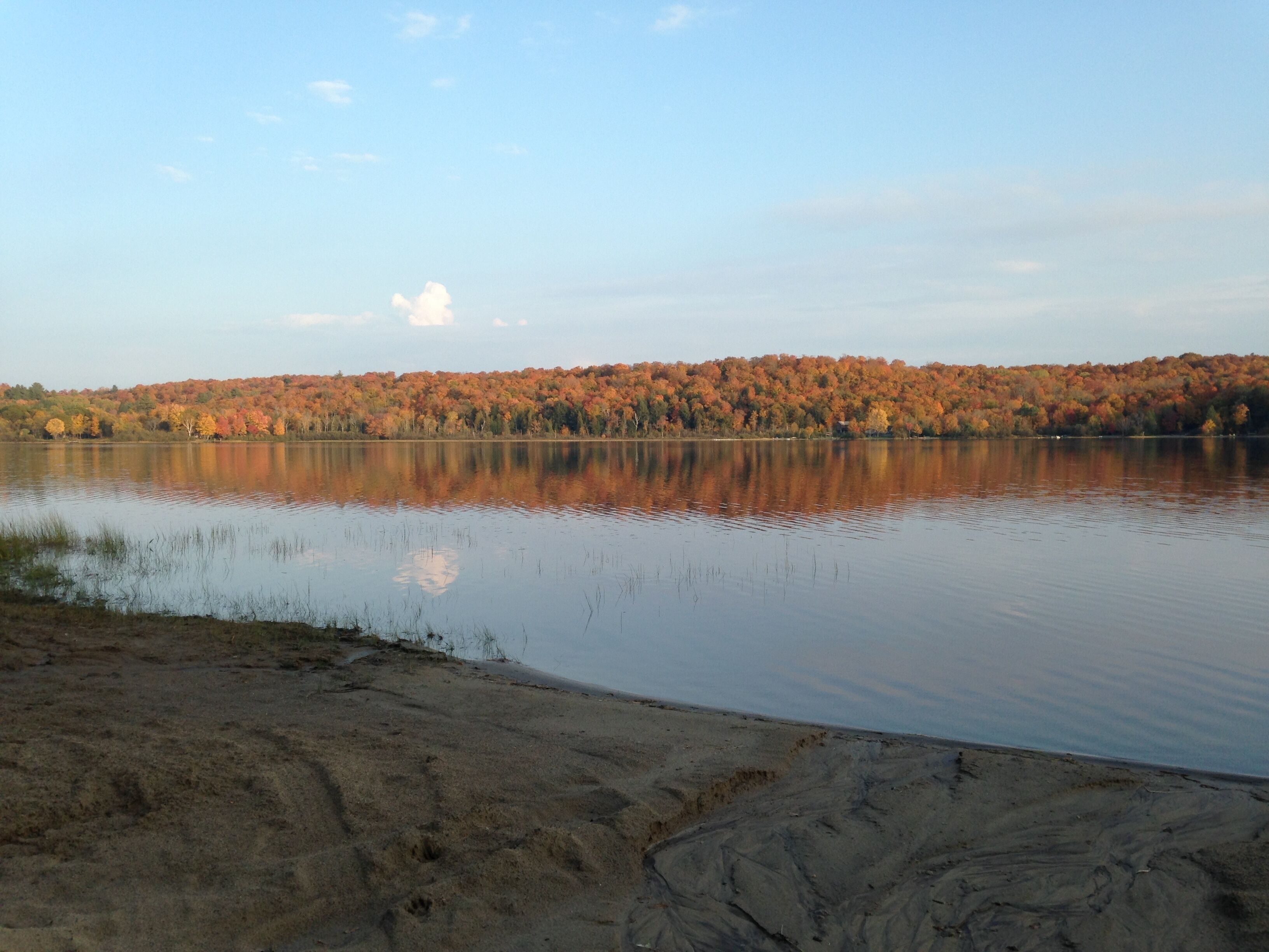 Ein ruhiger See mit sandigem Ufer und einem bewaldeten Hügel im Hintergrund.