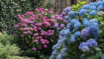 DĂ©tail de lâextĂ©rieur