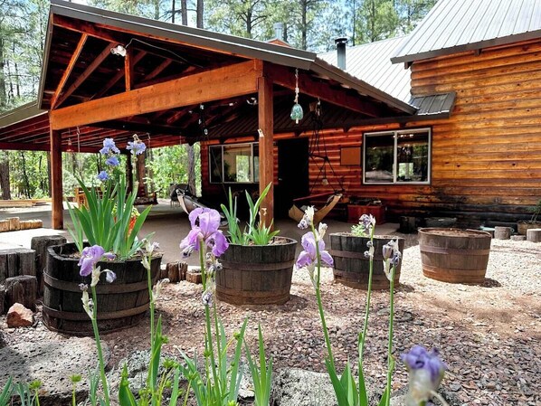 Property grounds - Pvt Pickleball- Hot Tub-Game Rm-Playground (Show Low)