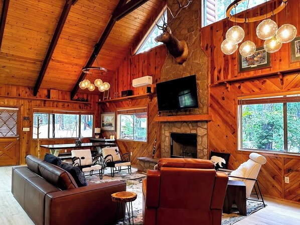 Smart TV, chimenea, videojuegos y reproductor de DVD 