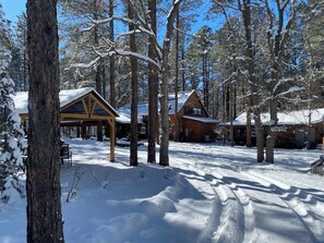 Exterior - Pvt Pickleball- Hot Tub-Game Rm-Playground (Show Low)