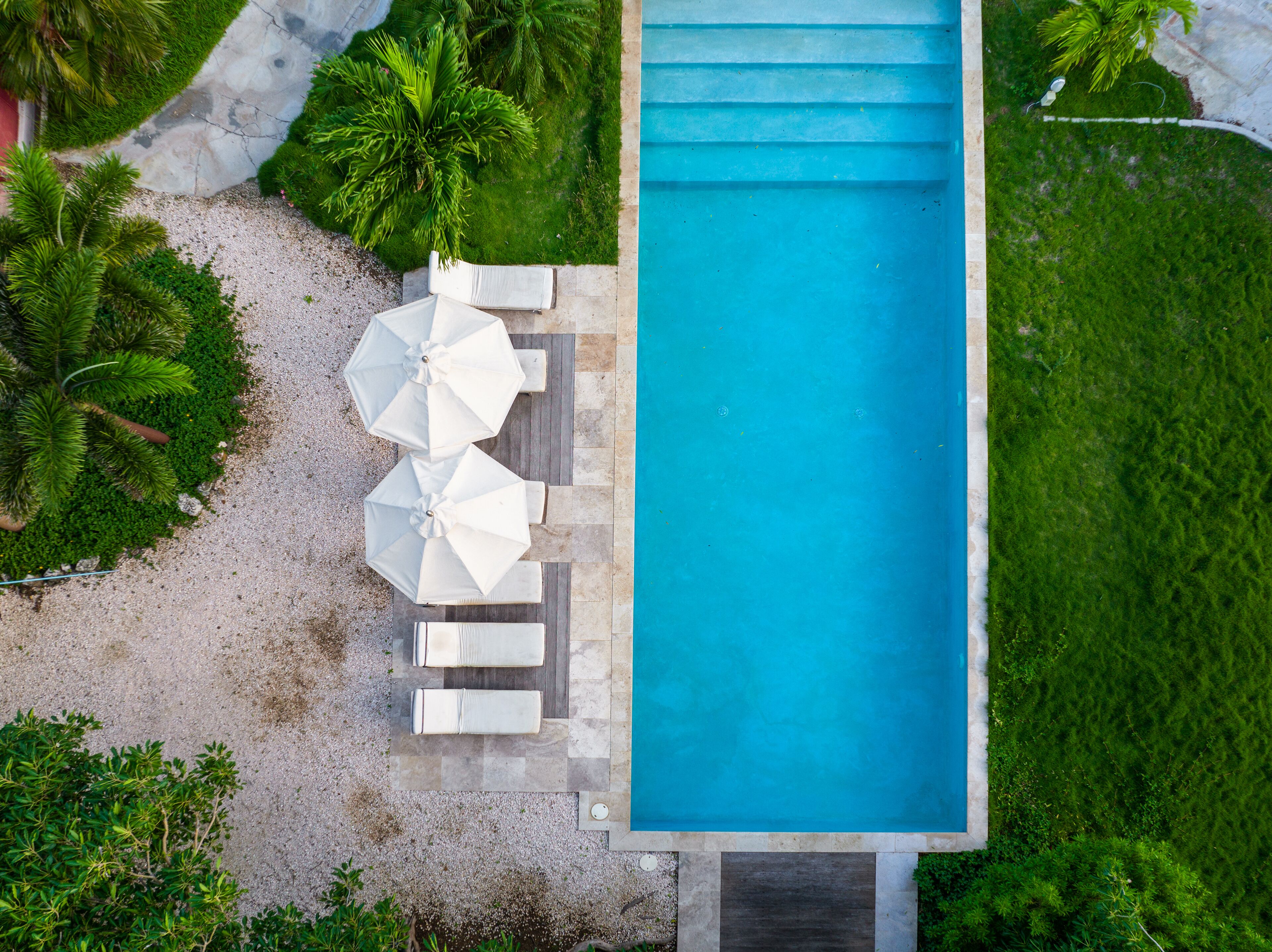 An aerial view of a rectangular swimming pool with a tiled deck, surrounded by lush greenery and palm trees.