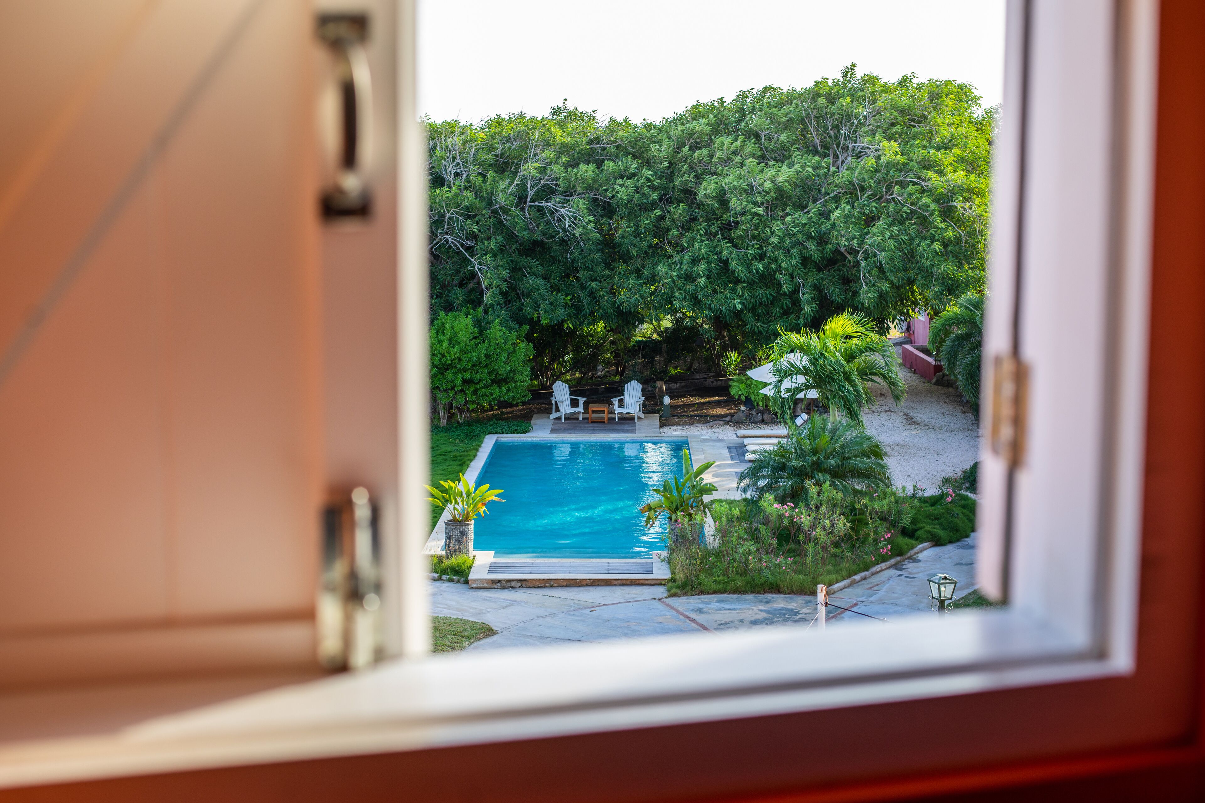 Vista de una piscina rodeada de exuberante vegetación, con un patio y mobiliario exterior visibles a través de una puerta abierta.