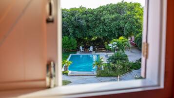 Vista de una piscina rodeada de exuberante vegetación, con un patio y mobiliario exterior visibles a través de una puerta abierta.