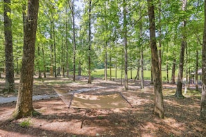 Relax in a serene forest setting, surrounded by tall trees and lush foliage, with a hammock and clear space for camping activities nearby.