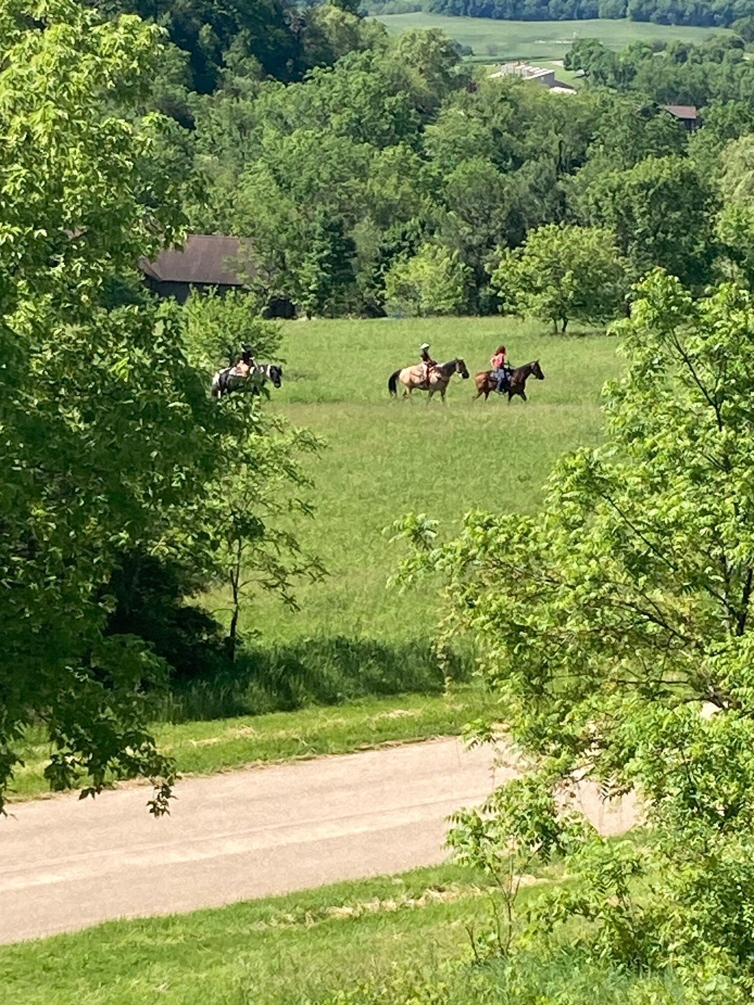 Un paisaje rural con un camino de tierra y un grupo de personas montando a caballo.