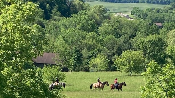 A rural landscape with a dirt road and a group of people riding horses.