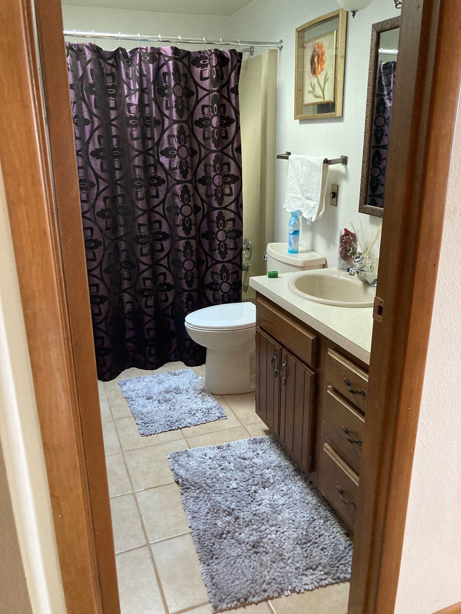 A bathroom with a toilet, sink, mirror, and shower curtain.