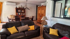 TV, fireplace, books