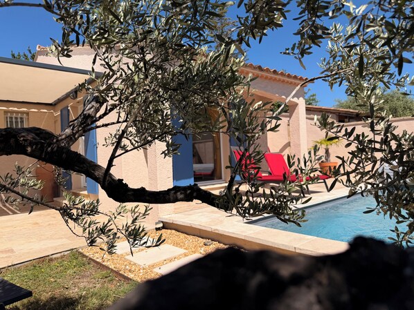 A poolside area with a red lounge chair, a clear blue sky, and an olive tree.