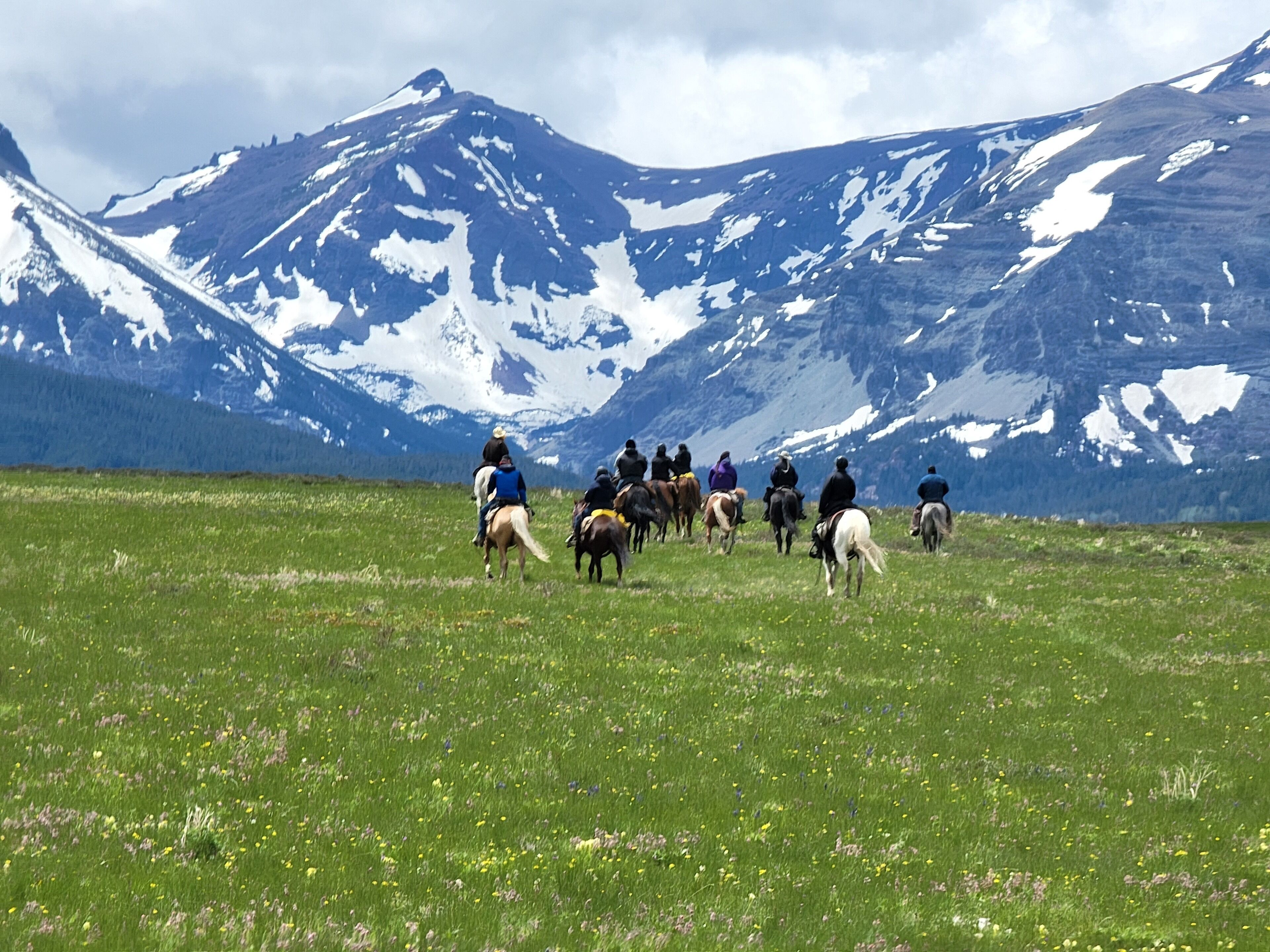 Un grupo de personas montando a caballo en un campo cubierto de hierba, con montañas nevadas al fondo.