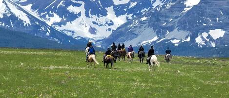 Un grupo de personas montando a caballo en un campo cubierto de hierba, con montañas nevadas al fondo.