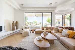 Smart TV, fireplace, books