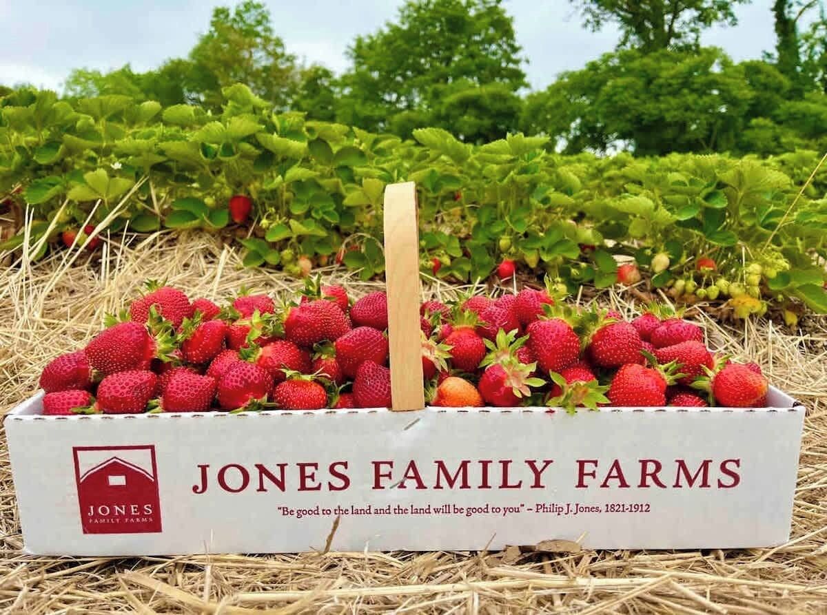 Una caja de fresas de Jones Family Farms con una cita de Philip J. Jones.