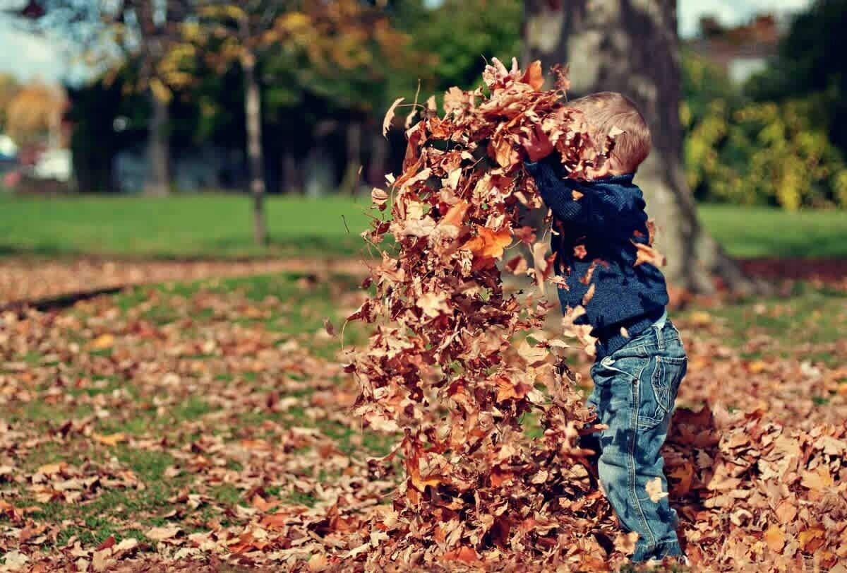 Un bambino gioca con le foglie autunnali in un parco.