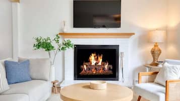 Televisión, chimenea y libros