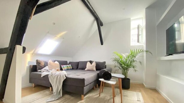 Een loft-achtige kamer met een schuine plafond, een grijze hoekbank, een kleine tafel, een potplant en een flatscreen televisie.