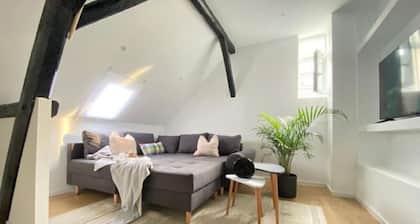 -2-zentral-traumwohnung-rhein