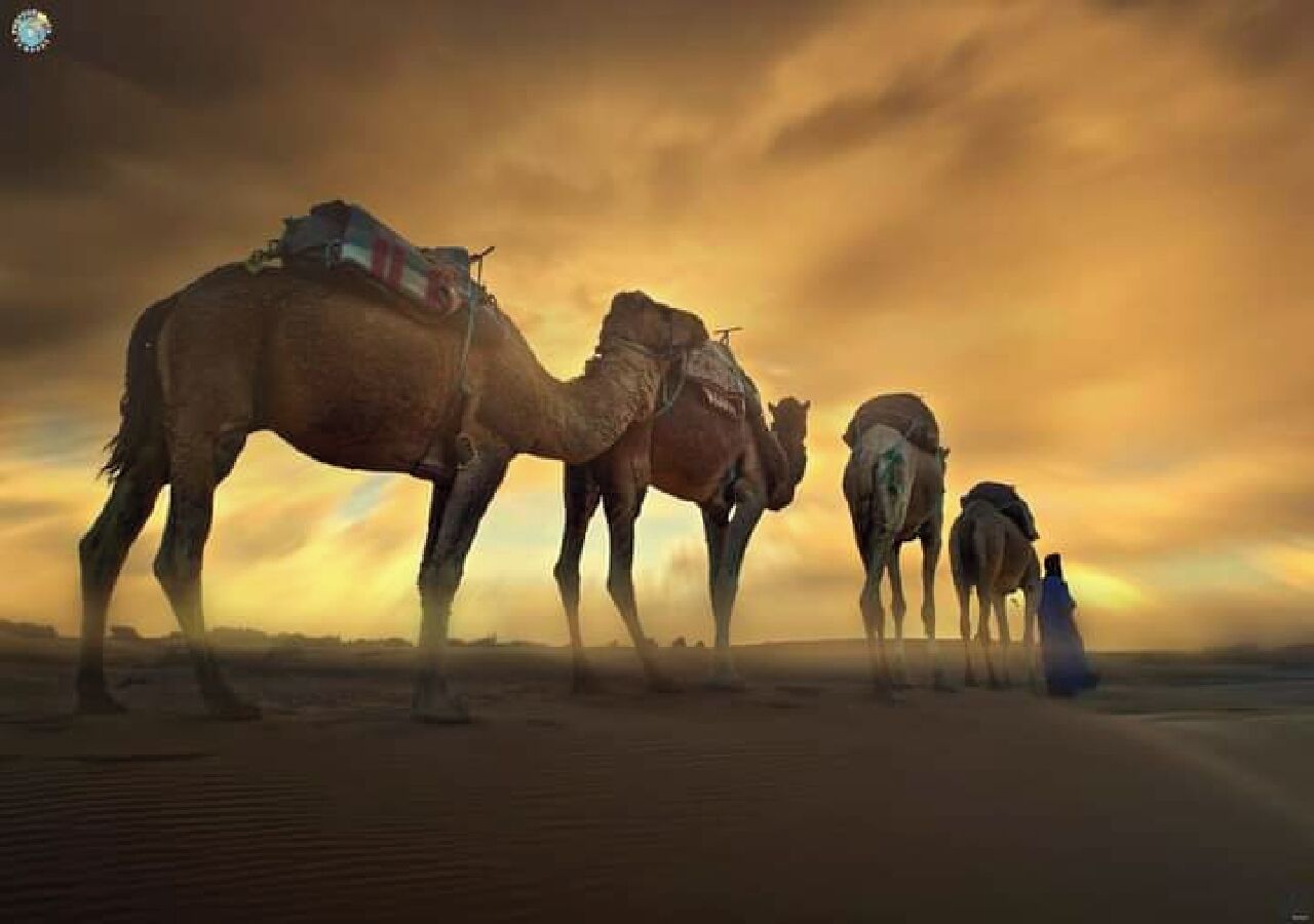 التنزّه سيراً على الأقدام