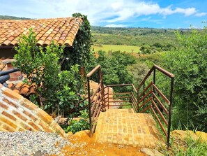 Property grounds - Casa Pájaro, birdwatching in native forest (Barichara)