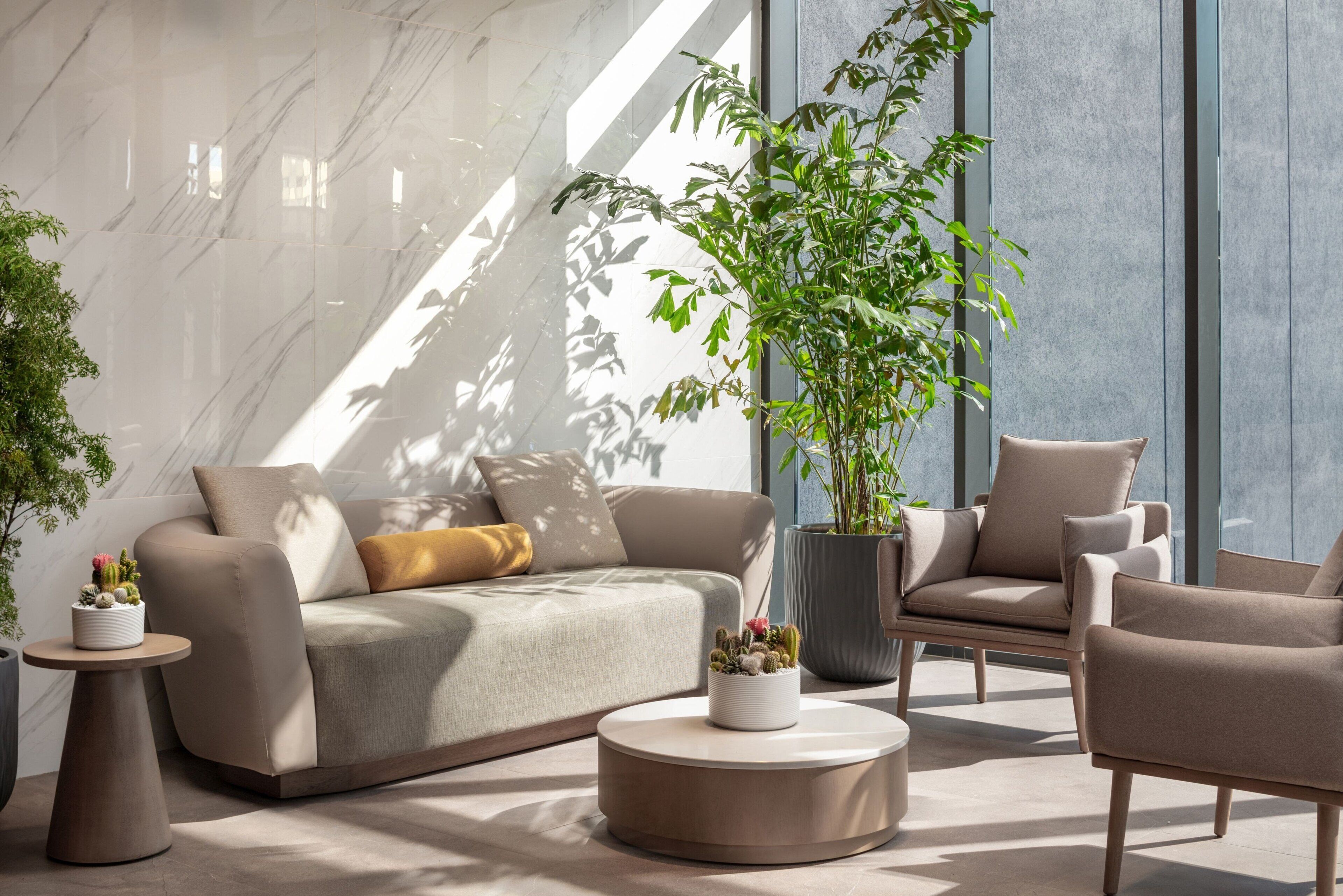 Una sala de estar moderna con un sofá, sillones, una mesa de centro y una planta grande en maceta.