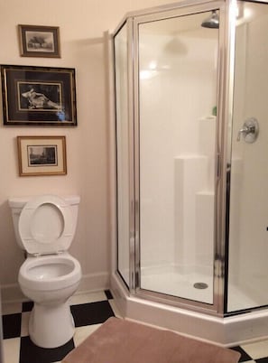 Hair dryer, towels, soap, toilet paper - Studio apartment with a separate, private entrance (Columbia)