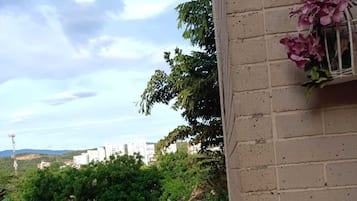Ărea infantil
