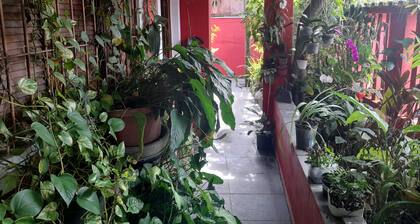 Pousada Crazy Hostel