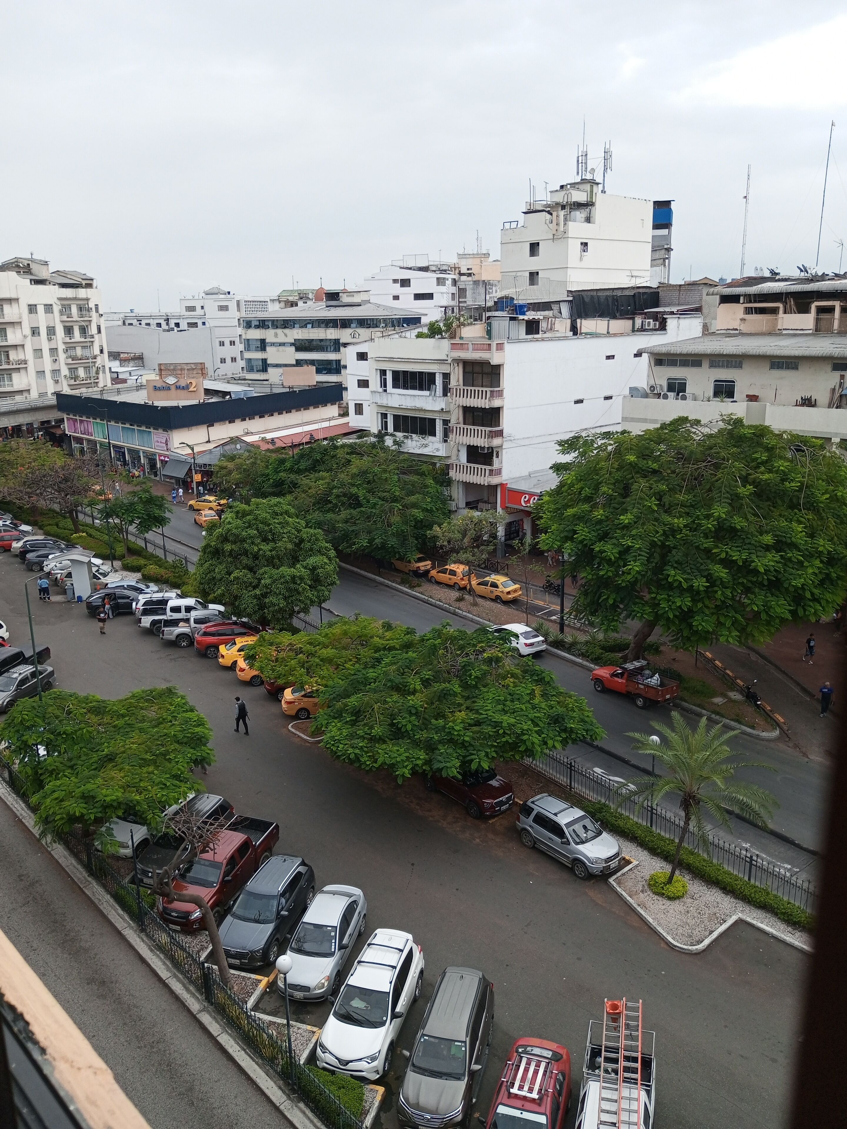 A parking lot with multiple cars and a few trees.