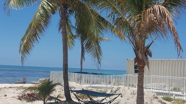 Ein Sandstrand mit zwei Palmen und einem weißen Zaun.