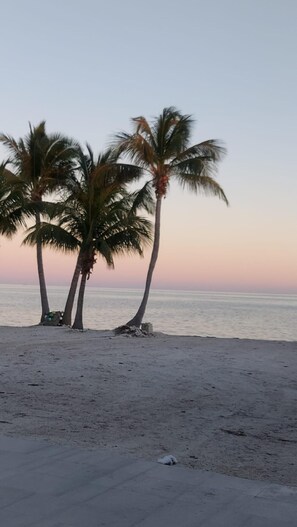 Sun-loungers, beach towels - Viamarhe Cabin-Private beach, Kayak, yard games (Marathon)