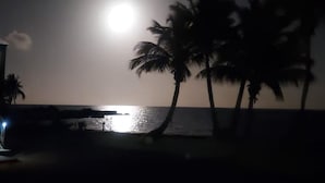 Ein Strandbild bei Nacht, mit Palmen, die vor einem im Mondlicht schimmernden Himmel silhouettiert sind.