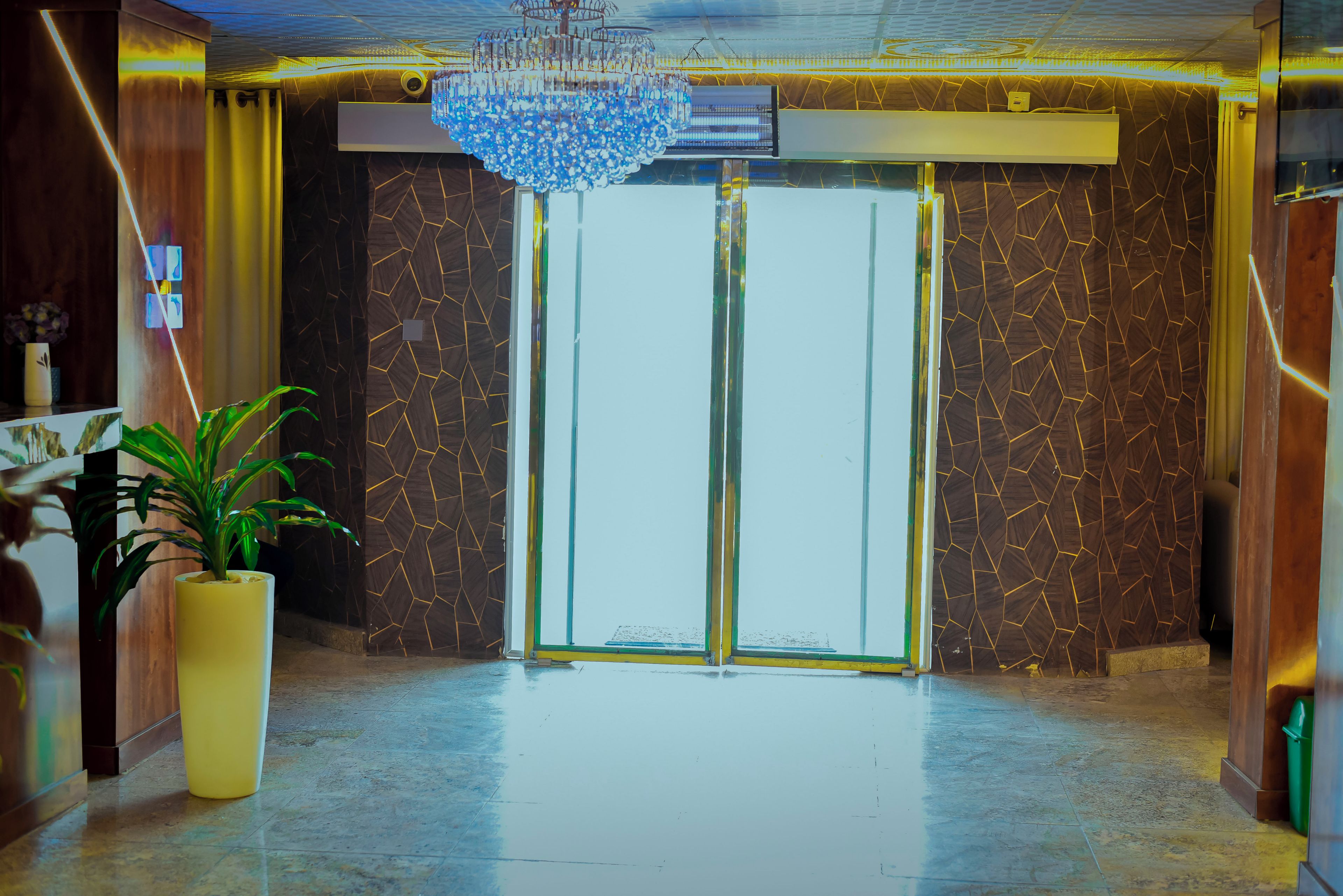 Un vestíbulo de hotel con una planta en maceta grande, un candelabro y una puerta de cristal que da al exterior.