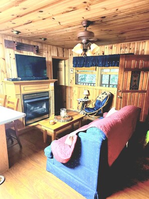 Una televisión, una chimenea, un reproductor de DVD