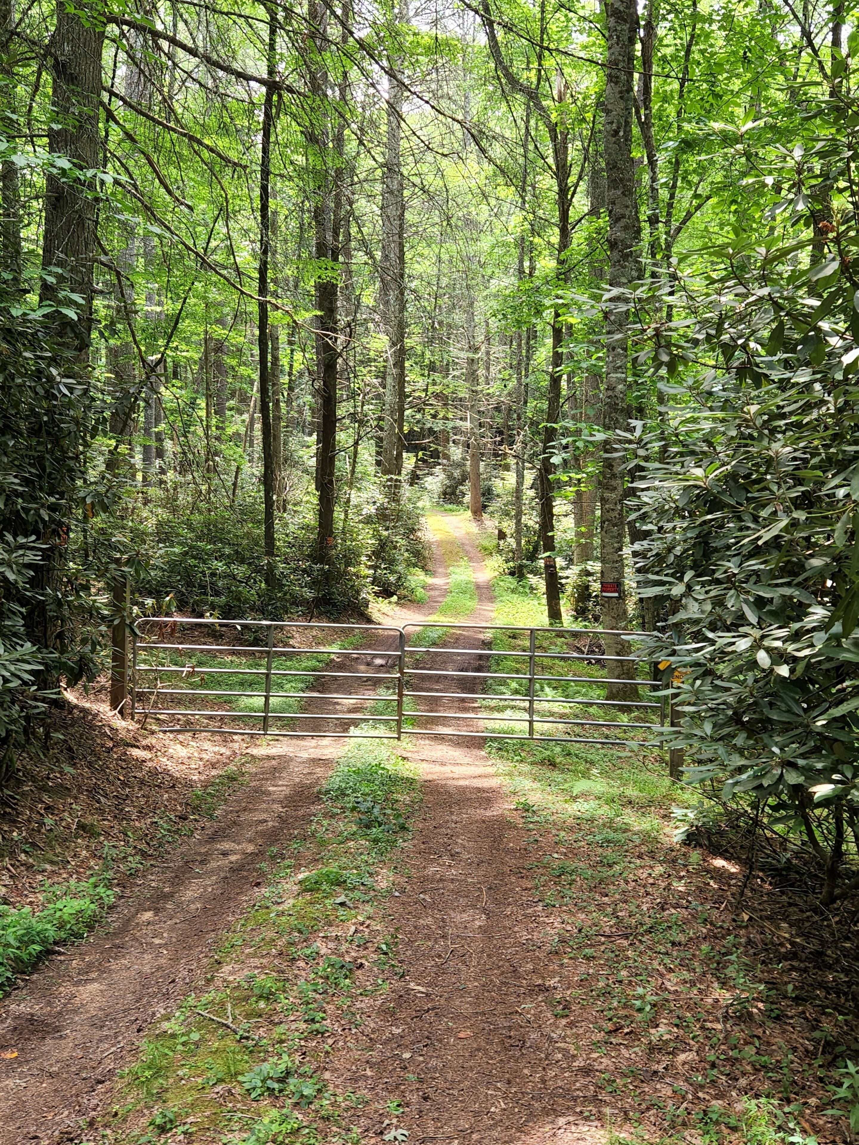 Un sentier bordé d’arbres, avec une barrière en métal, entouré de grands arbres et d’un feuillage dense.