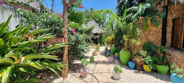 Um jardim com um letreiro indicando “KARIBUNI”, cercado por diversas plantas em vasos e uma construção com telhado de palha.