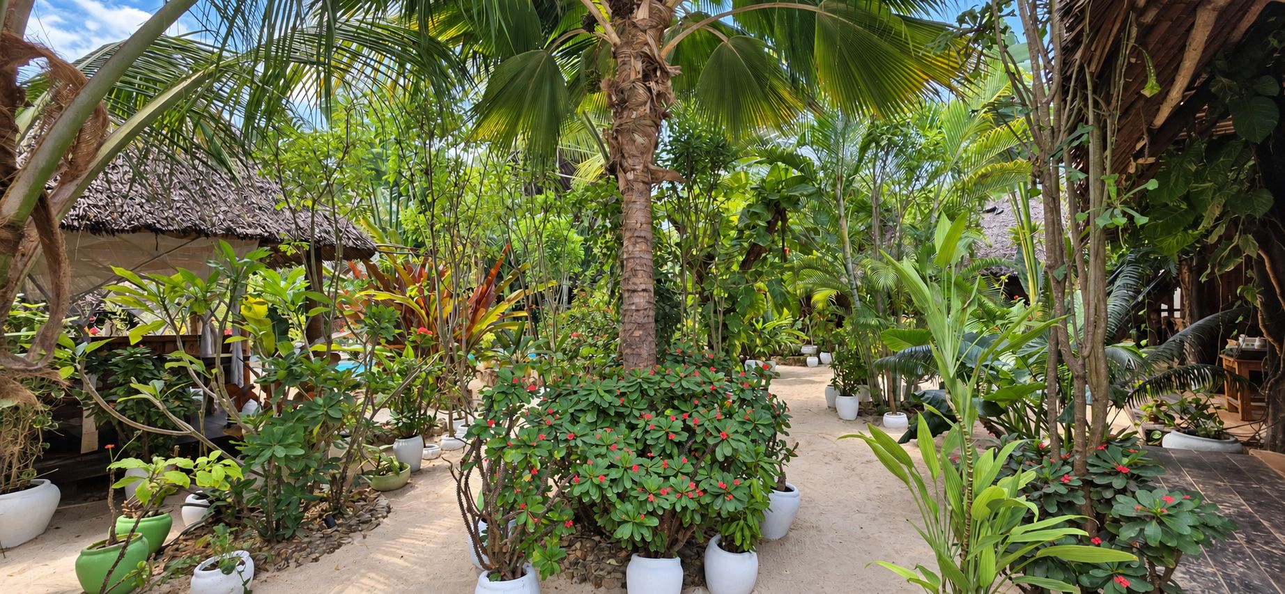 A tropical garden with various potted plants and a thatched-roof structure.