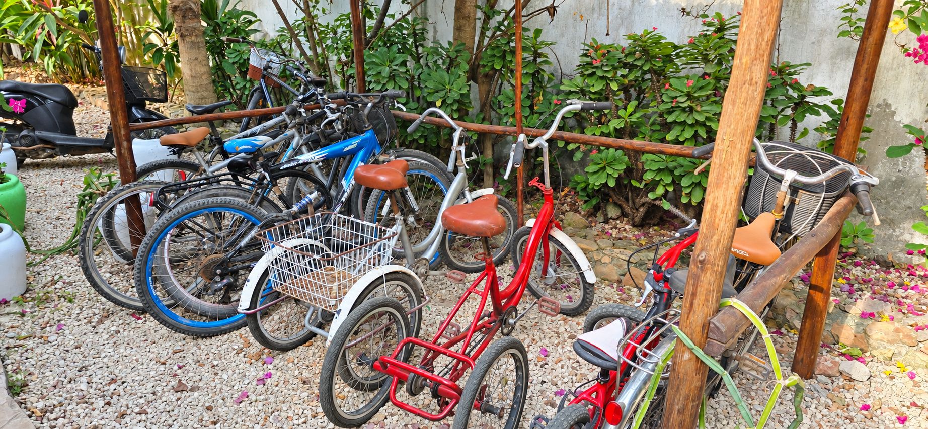 A collection of bicycles parked in a garden area with a concrete wall and greenery in the background.