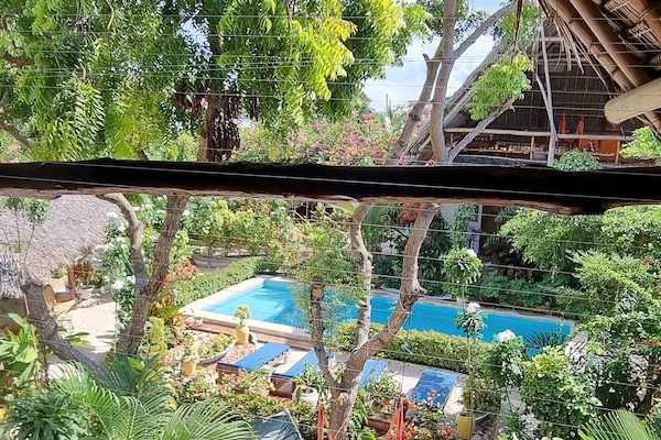 Premium bedding, individually decorated, individually furnished